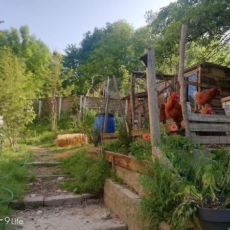 La Cabane Des Trappeurs Crepy-en-Valois Εξωτερικό φωτογραφία