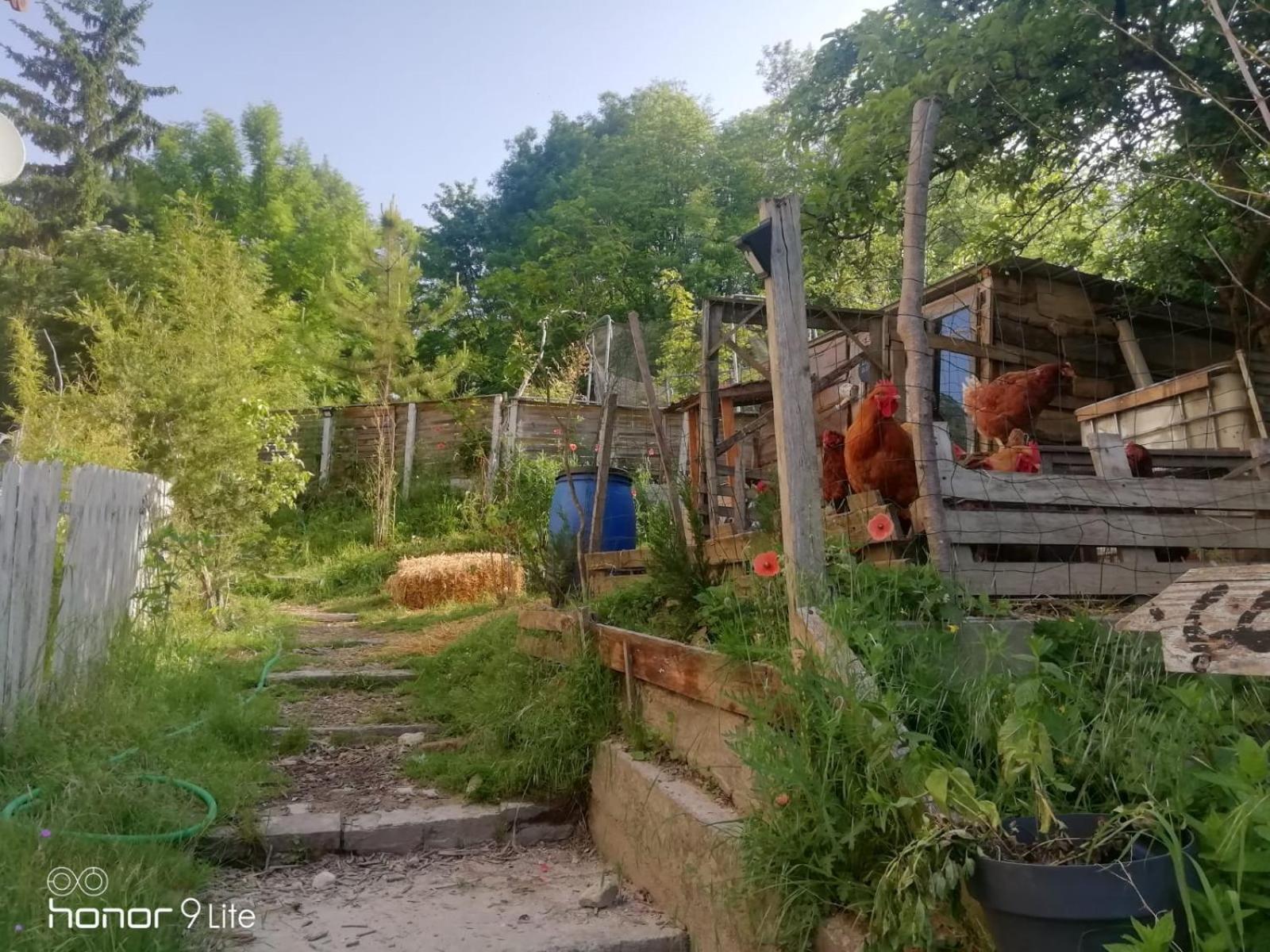 La Cabane Des Trappeurs Crepy-en-Valois Εξωτερικό φωτογραφία